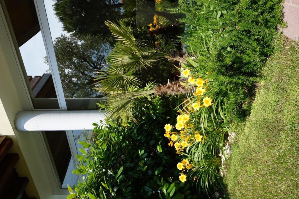 Aparthotel Rivachiara *